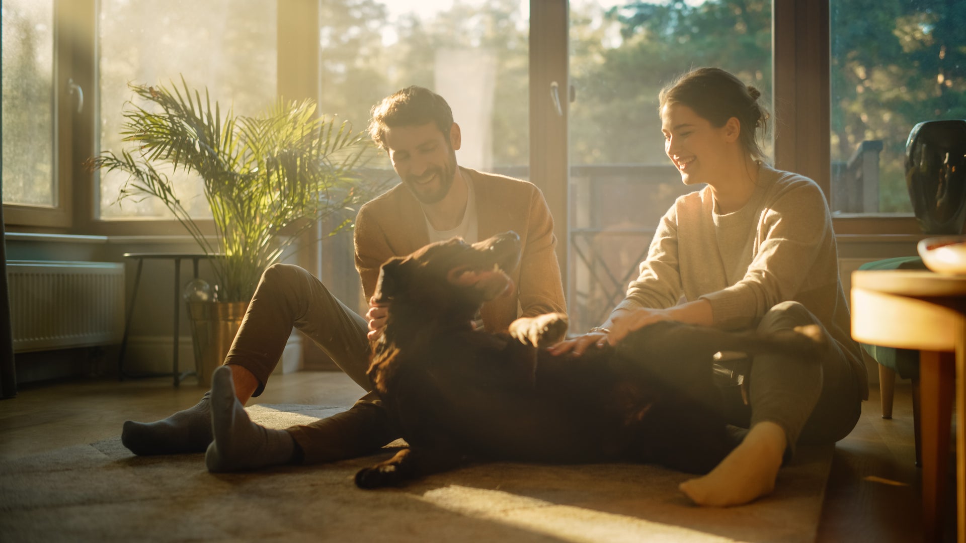 A couple relaxing at home with their dog